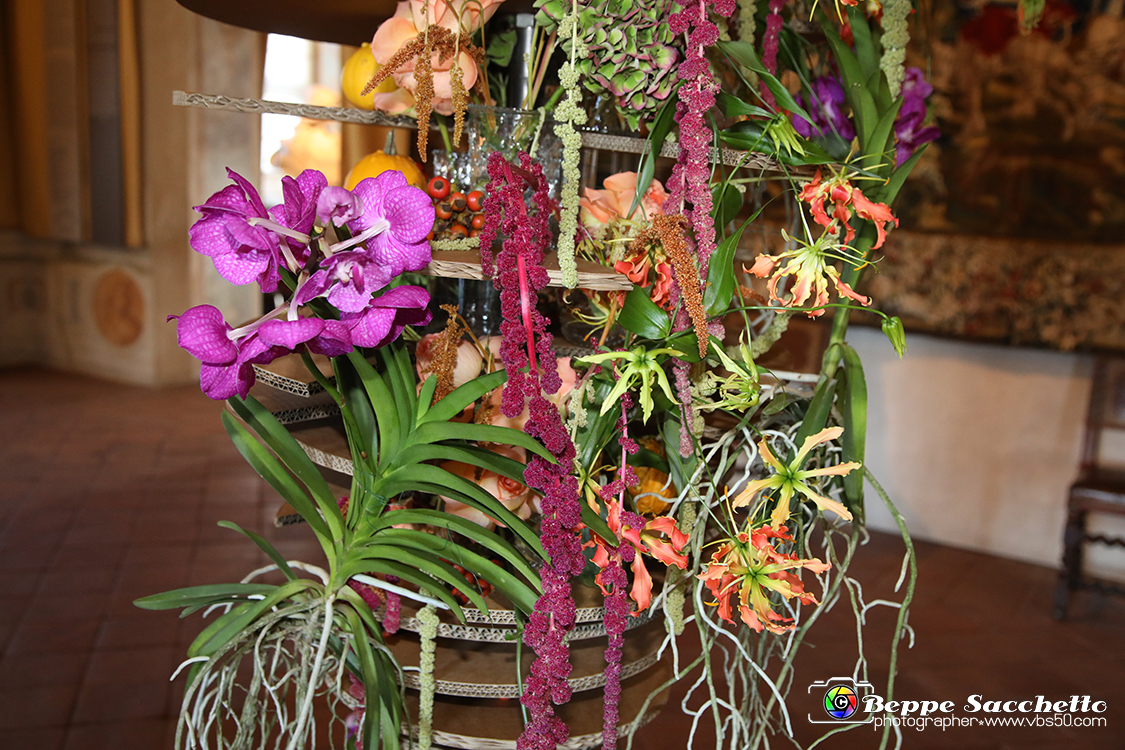 VBS_0109 - Corollaria Flower Exhibition 2022.jpg